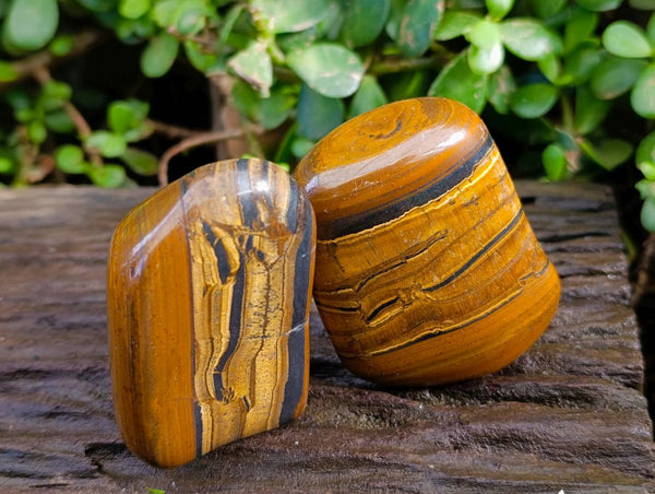 Polished Golden Tiger's Eye Free Forms x 6 From Prieska, South Africa - Toprock Gemstones and Minerals 