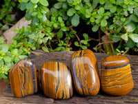 Polished Golden Tiger's Eye Free Forms x 6 From Prieska, South Africa - Toprock Gemstones and Minerals 