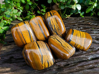 Polished Golden Tiger's Eye Free Forms x 6 From Prieska, South Africa - Toprock Gemstones and Minerals 