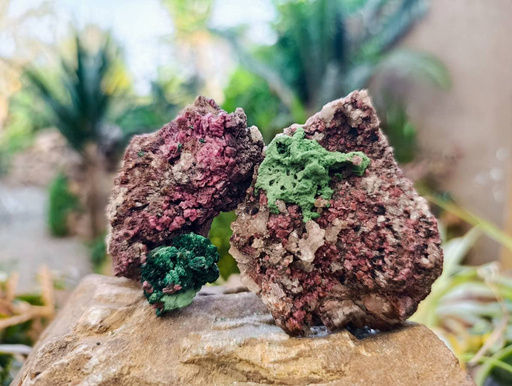 Natural Salrose Cobaltion Dolomite with Malachite x 6 From Kakanda, Congo - Toprock Gemstones and Minerals 