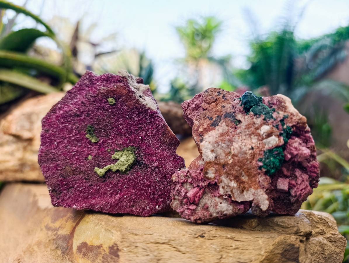 Natural Salrose Cobaltion Dolomite with Malachite x 6 From Kakanda, Congo - Toprock Gemstones and Minerals 
