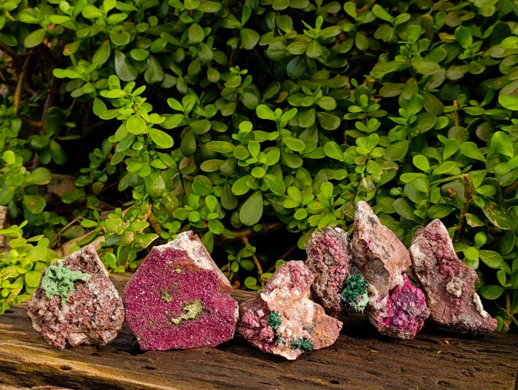 Natural Salrose Cobaltion Dolomite with Malachite x 6 From Kakanda, Congo - Toprock Gemstones and Minerals 