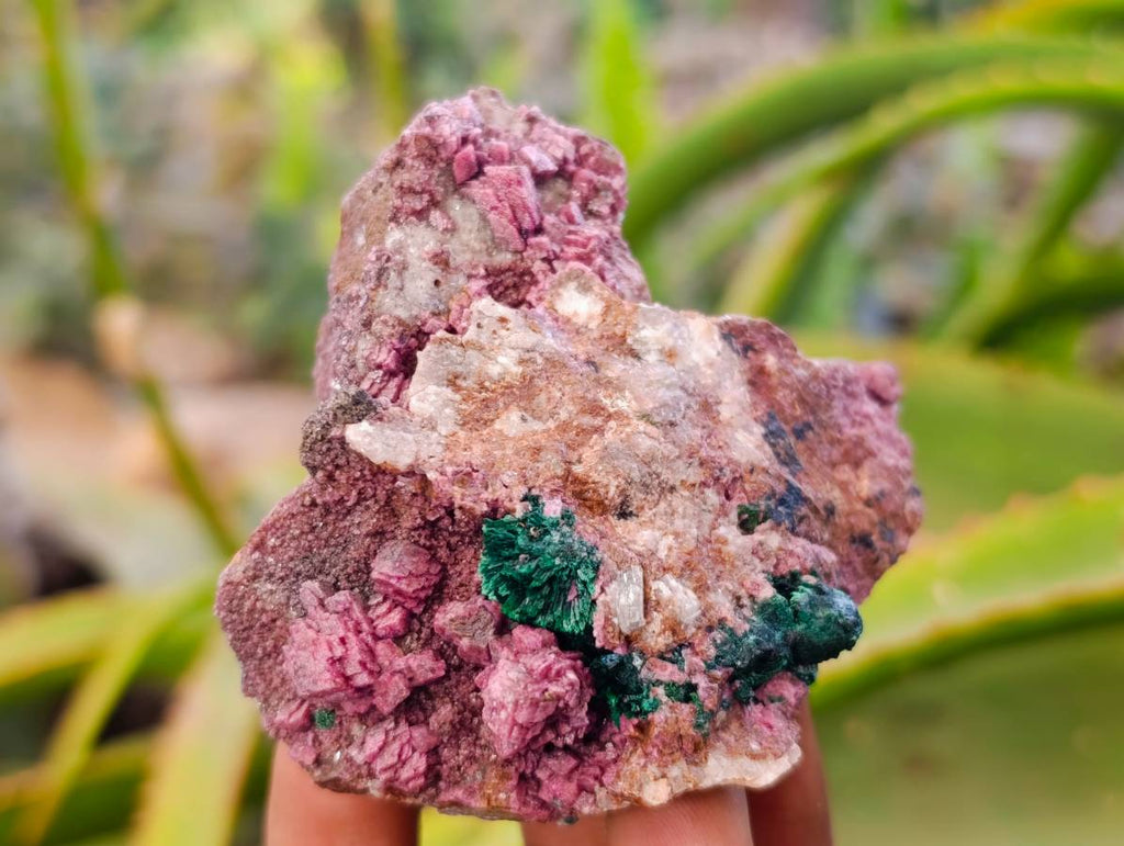 Natural Salrose Cobaltion Dolomite with Malachite x 6 From Kakanda, Congo - Toprock Gemstones and Minerals 