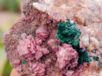 Natural Salrose Cobaltion Dolomite with Malachite x 6 From Kakanda, Congo - Toprock Gemstones and Minerals 