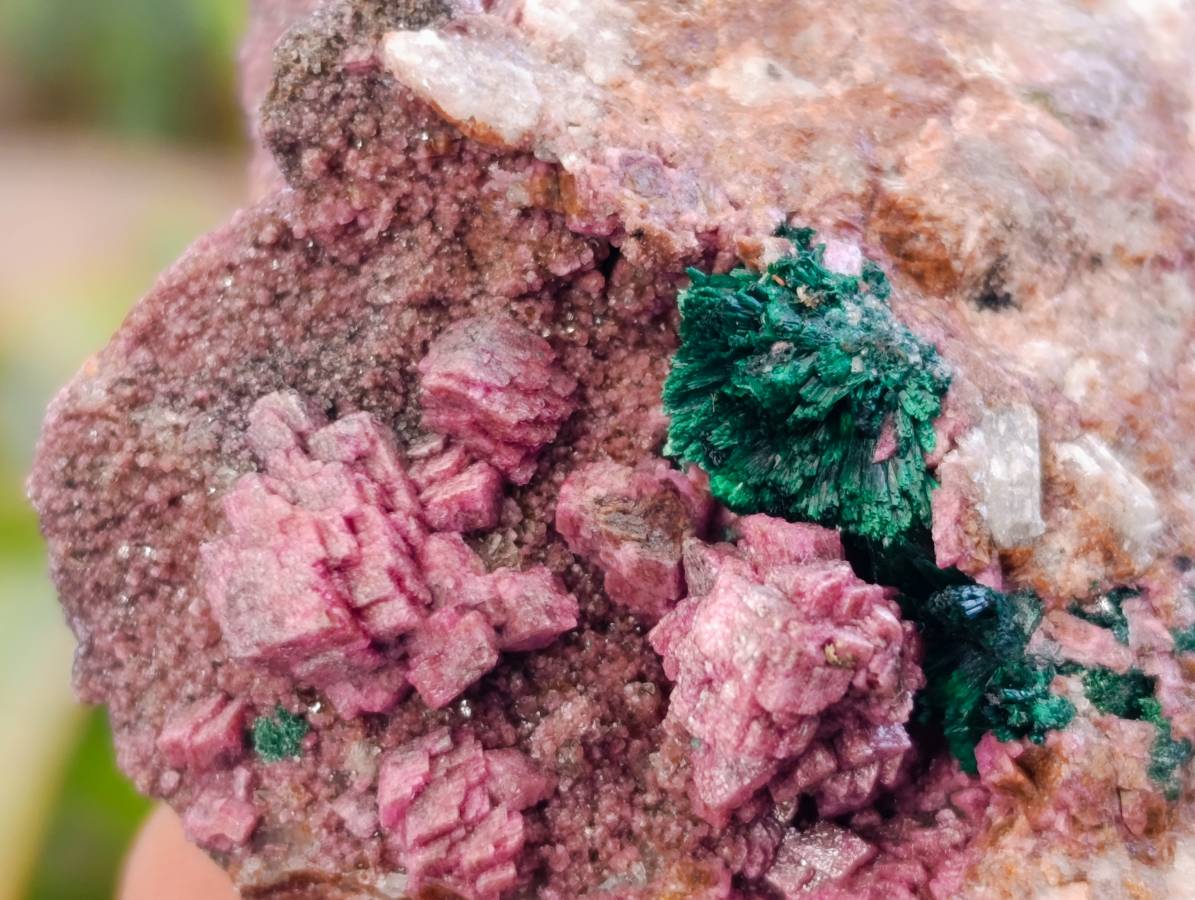 Natural Salrose Cobaltion Dolomite with Malachite x 6 From Kakanda, Congo - Toprock Gemstones and Minerals 