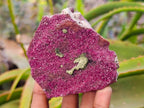 Natural Salrose Cobaltion Dolomite with Malachite x 6 From Kakanda, Congo - Toprock Gemstones and Minerals 