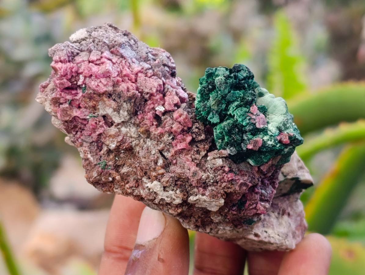 Natural Salrose Cobaltion Dolomite with Malachite x 6 From Kakanda, Congo - Toprock Gemstones and Minerals 