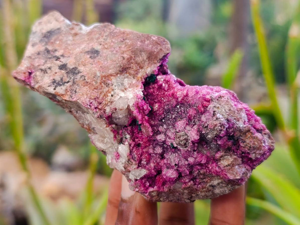 Natural Salrose Cobaltion Dolomite with Malachite x 6 From Kakanda, Congo - Toprock Gemstones and Minerals 