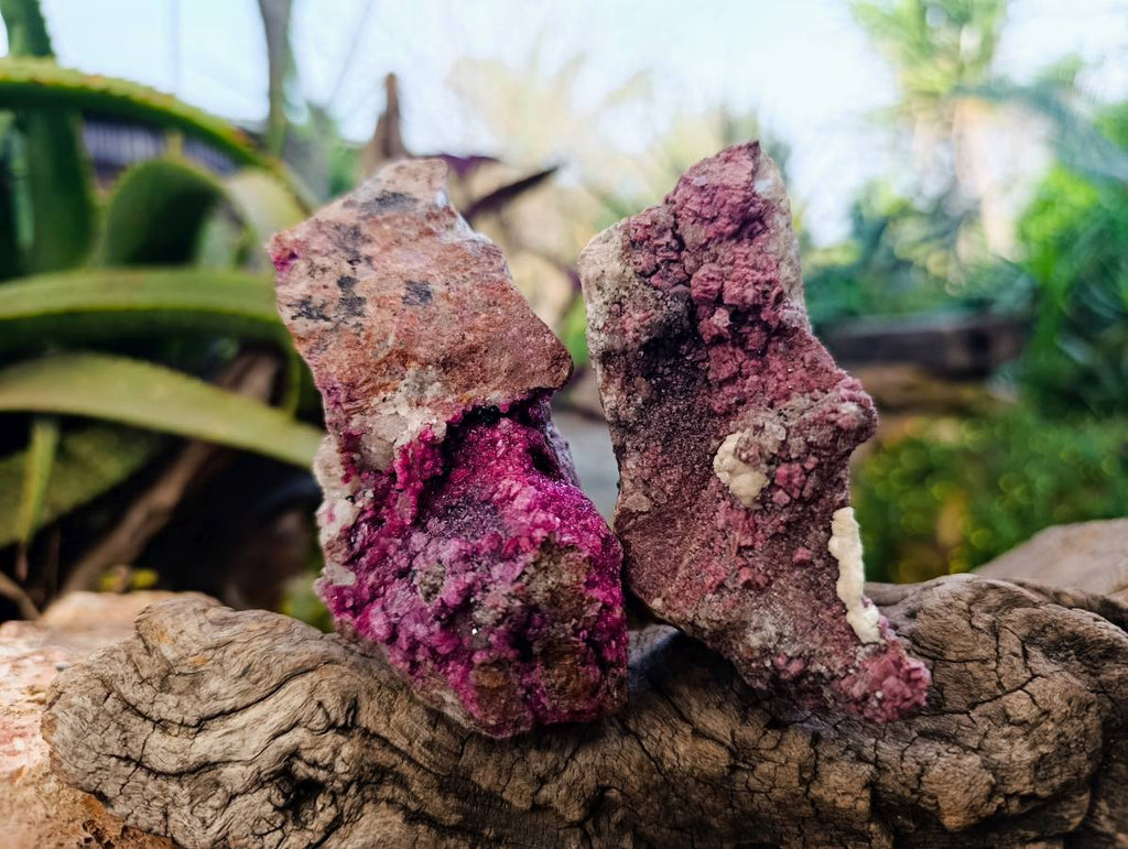 Natural Salrose Cobaltion Dolomite with Malachite x 6 From Kakanda, Congo - Toprock Gemstones and Minerals 