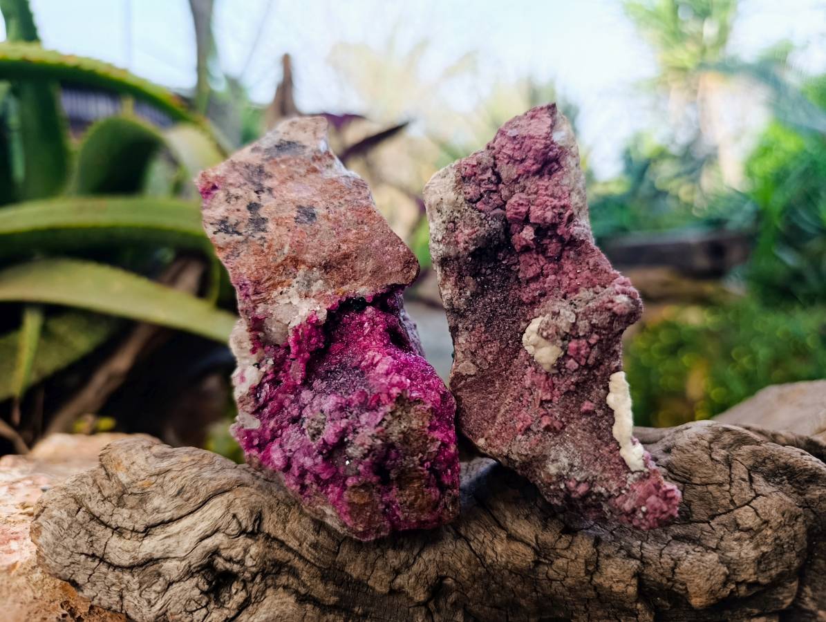 Natural Salrose Cobaltion Dolomite with Malachite x 6 From Kakanda, Congo - Toprock Gemstones and Minerals 