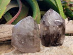 Polished Smokey and Morion Window Quartz Crystals x 2 From Madagascar - Toprock Gemstones and Minerals 