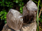 Polished Smokey and Morion Window Quartz Crystals x 2 From Madagascar - Toprock Gemstones and Minerals 