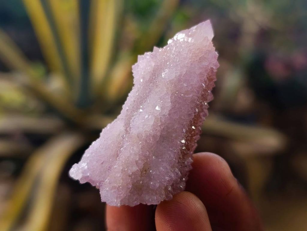 Natural Amethyst Spirit Quartz Clusters x 35 From Boekenhouthoek, South Africa - Toprock Gemstones and Minerals 