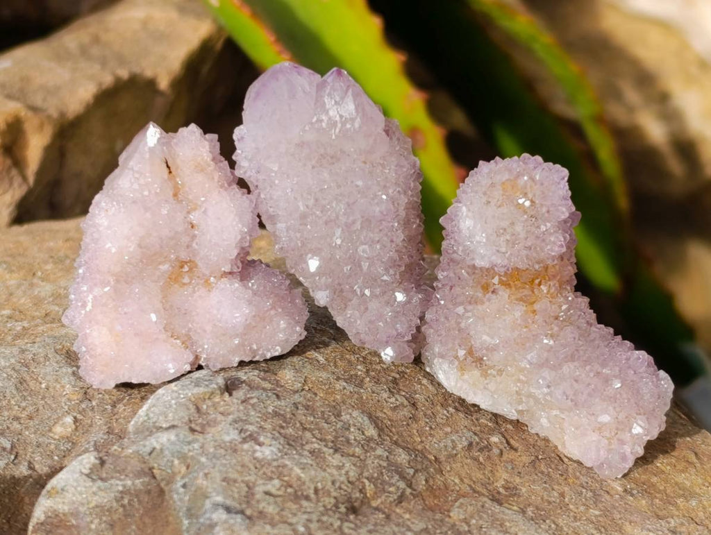 Natural Amethyst Spirit Quartz Clusters x 35 From Boekenhouthoek, South Africa - Toprock Gemstones and Minerals 