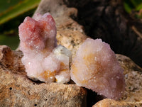 Natural Amethyst Spirit Quartz Clusters x 35 From Boekenhouthoek, South Africa - Toprock Gemstones and Minerals 