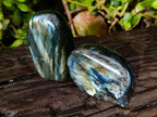 Polished Labradorite Standing Free Forms x 6 From Tulear, Madagascar - Toprock Gemstones and Minerals 