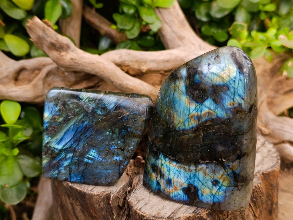 Polished Labradorite Standing Free Forms x 6 From Tulear, Madagascar - Toprock Gemstones and Minerals 