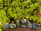 Polished Labradorite Standing Free Forms x 6 From Tulear, Madagascar - Toprock Gemstones and Minerals 