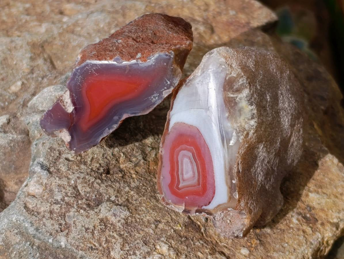 Polished On One Side Sashe River Agate Nodules x 28 From Zimbabwe - Toprock Gemstones and Minerals 