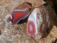 Polished On One Side Sashe River Agate Nodules x 28 From Zimbabwe - Toprock Gemstones and Minerals 