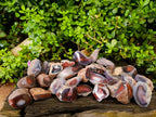 Polished On One Side Sashe River Agate Nodules x 28 From Zimbabwe - Toprock Gemstones and Minerals 