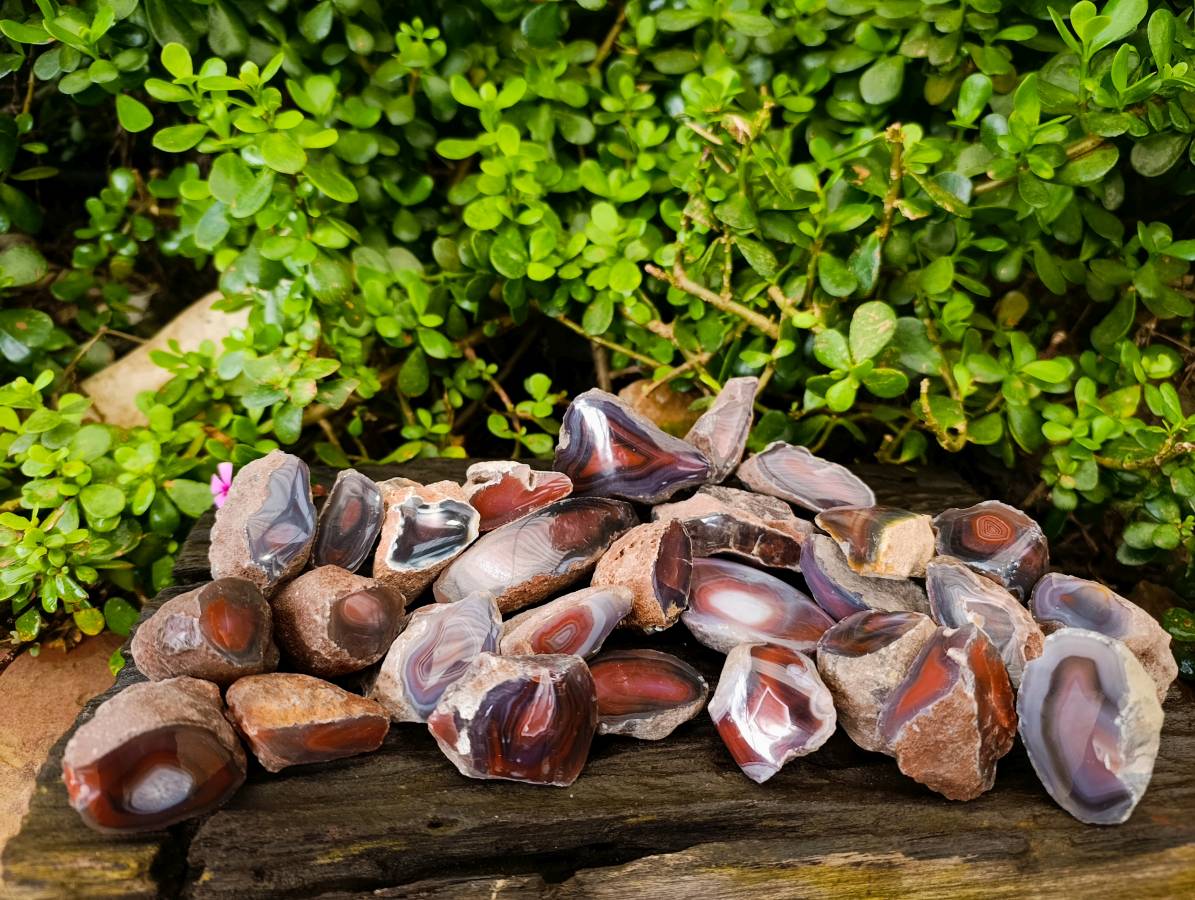 Polished On One Side Sashe River Agate Nodules x 28 From Zimbabwe - Toprock Gemstones and Minerals 