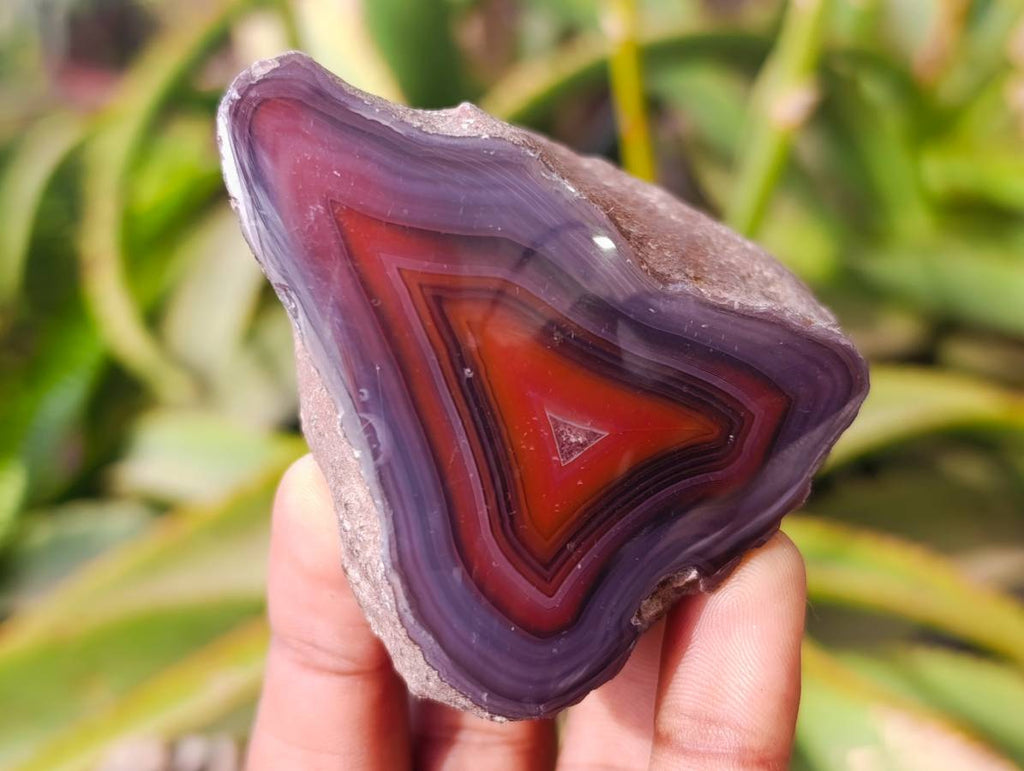 Polished On One Side Sashe River Agate Nodules x 28 From Zimbabwe - Toprock Gemstones and Minerals 