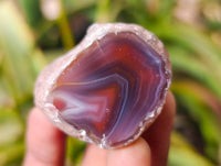 Polished On One Side Sashe River Agate Nodules x 28 From Zimbabwe - Toprock Gemstones and Minerals 