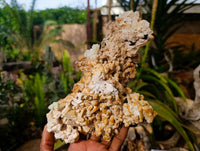 Natural Multi Mineral Specimen x 1 From Erongo, Namibia - Toprock Gemstones and Minerals 