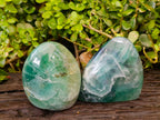 Polished Green Fluorite Standing Free Forms x 2 From Madagascar - Toprock Gemstones and Minerals 