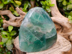 Polished Green Fluorite Standing Free Forms x 2 From Madagascar - Toprock Gemstones and Minerals 