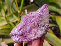 Natural Stichtite Specimens x 24 From Barberton, South Africa - Toprock Gemstones and Minerals 