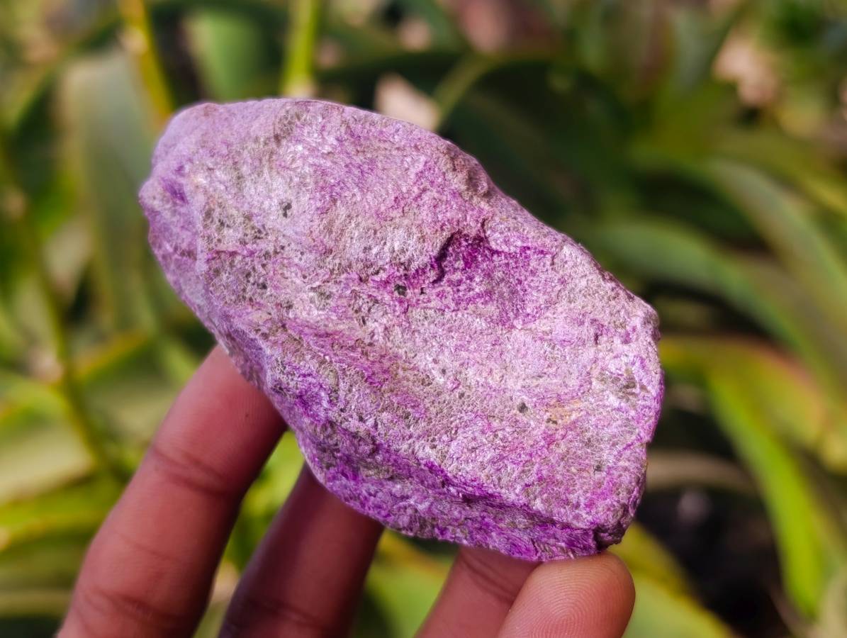 Natural Stichtite Specimens x 24 From Barberton, South Africa - Toprock Gemstones and Minerals 