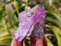 Natural Stichtite Specimens x 24 From Barberton, South Africa - Toprock Gemstones and Minerals 