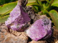 Natural Stichtite Specimens x 24 From Barberton, South Africa - Toprock Gemstones and Minerals 