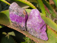 Natural Stichtite Specimens x 24 From Barberton, South Africa - Toprock Gemstones and Minerals 