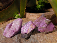 Natural Stichtite Specimens x 24 From Barberton, South Africa - Toprock Gemstones and Minerals 