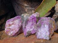 Natural Stichtite Specimens x 24 From Barberton, South Africa - Toprock Gemstones and Minerals 