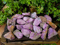 Natural Stichtite Specimens x 24 From Barberton, South Africa - Toprock Gemstones and Minerals 