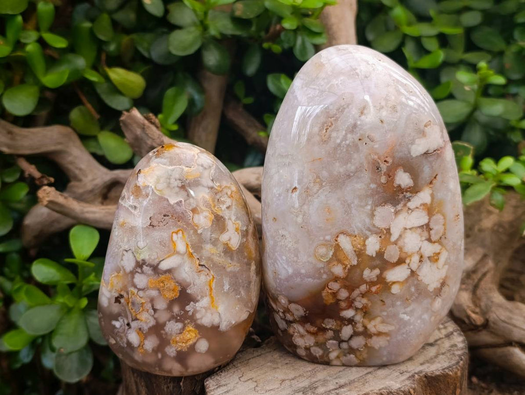 Polished Flower Agate Standing Free Forms x 3 From Antsahalova, Madagascar - Toprock Gemstones and Minerals 