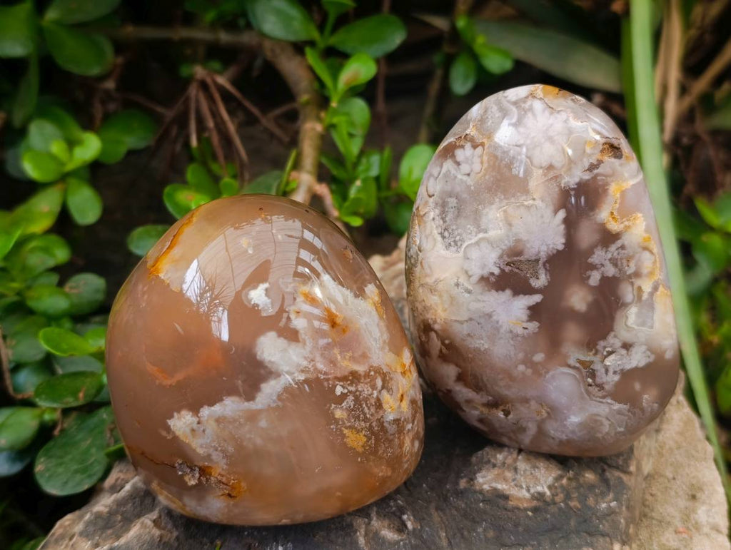 Polished Flower Agate Standing Free Forms x 3 From Antsahalova, Madagascar - Toprock Gemstones and Minerals 