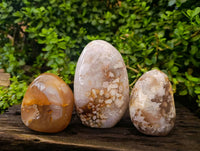 Polished Flower Agate Standing Free Forms x 3 From Antsahalova, Madagascar