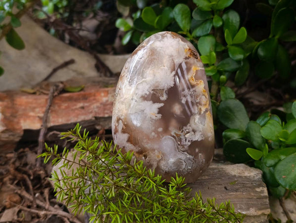 Polished Flower Agate Standing Free Forms x 3 From Antsahalova, Madagascar