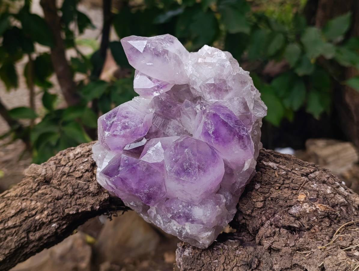 Natural Jacaranda Amethyst Quartz Crystals x 2 From Mumbwa, Zambia - Toprock Gemstones and Minerals 