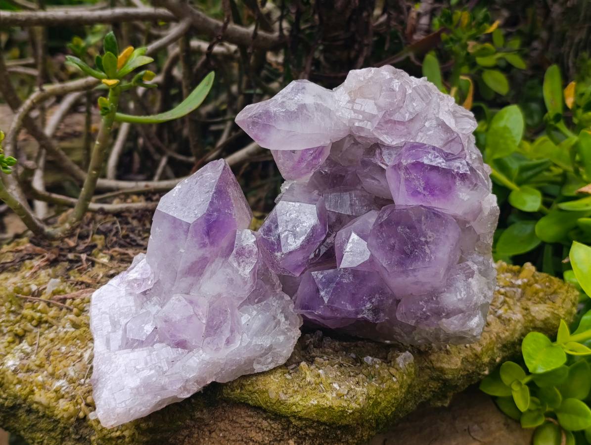 Natural Jacaranda Amethyst Quartz Crystals x 2 From Mumbwa, Zambia - Toprock Gemstones and Minerals 