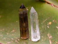 Polished Mixed Small Optic and included Quartz Jewellery Points x 35 From Madagascar - Toprock Gemstones and Minerals 