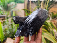Natural Schorl Black Tourmaline Specimens x 3 From Erongo, Namibia - Toprock Gemstones and Minerals 