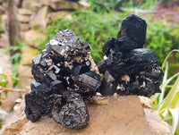 Natural Schorl Black Tourmaline Specimens x 3 From Erongo, Namibia - Toprock Gemstones and Minerals 