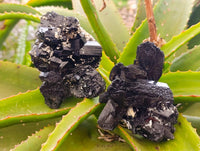 Natural Schorl Black Tourmaline Specimens x 3 From Erongo, Namibia - Toprock Gemstones and Minerals 