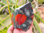 Polished Bloodstone Points x 3 From Swaziland - Toprock Gemstones and Minerals 